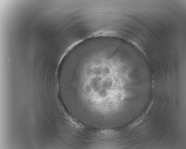 X0000058121117200510071932