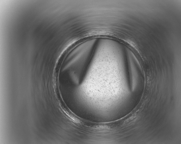 X0000058121119200510071932