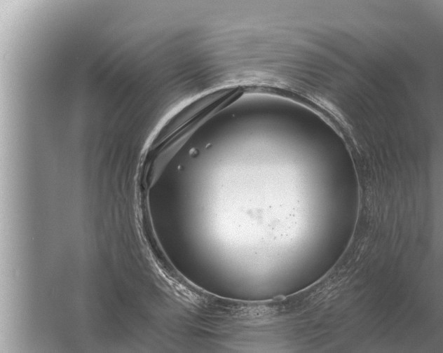 X0000058121120200510071932