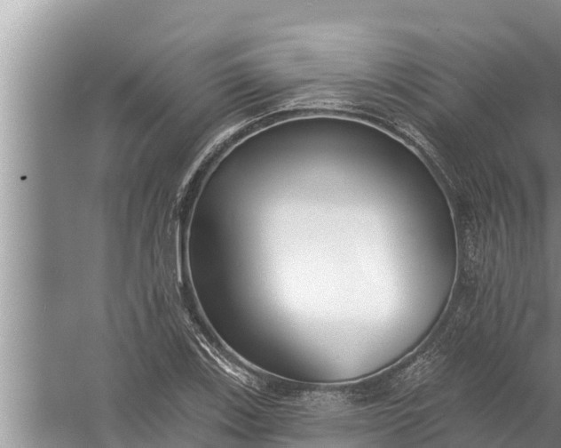 X0000058121123200510071932