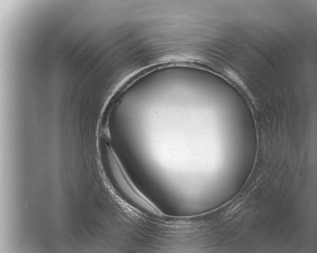 X0000058121124200510071932