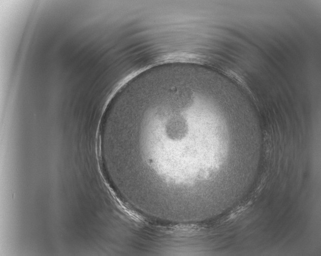 X0000058121125200510071932