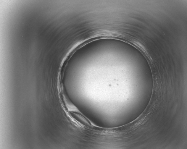 X0000058121128200510071932