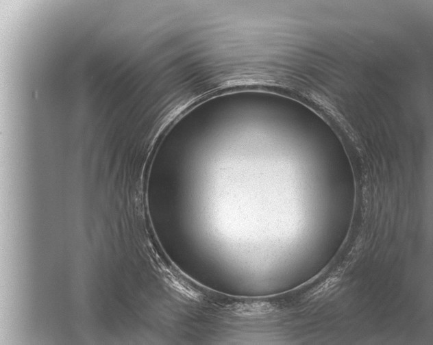 X0000058121129200510071932