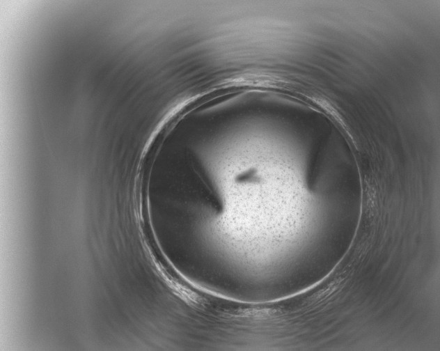 X0000058121131200510071932