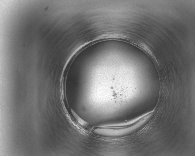 X0000058121132200510071932