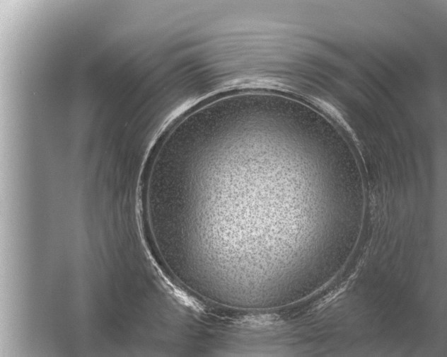 X0000058121133200510071932