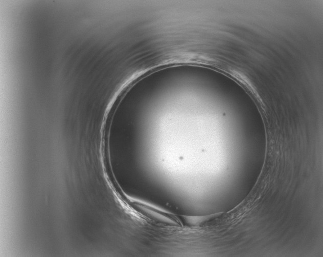 X0000058121136200510071932