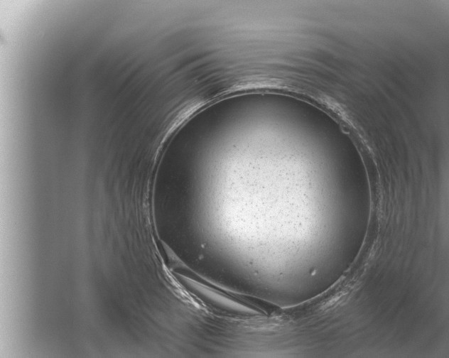 X0000058121137200510071932