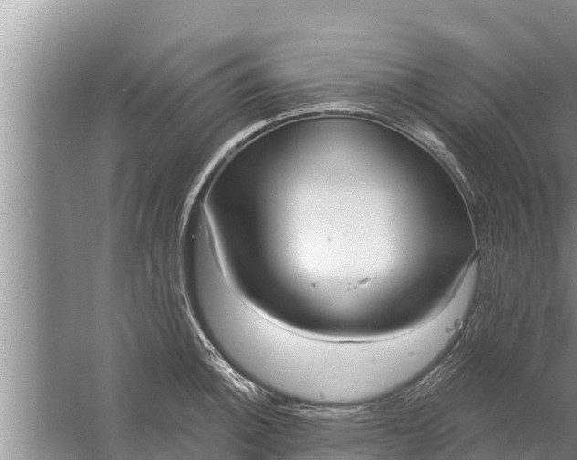 X0000058121140200510071932