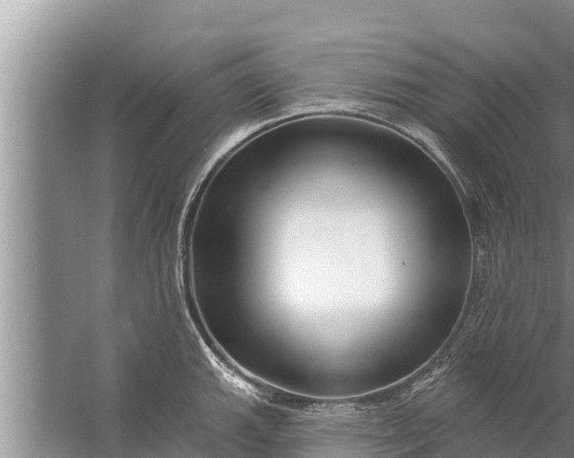 X0000058121143200510071932