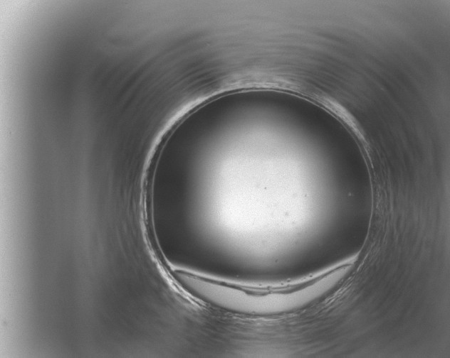 X0000058121144200510071932