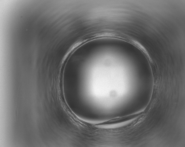 X0000058121146200510071932