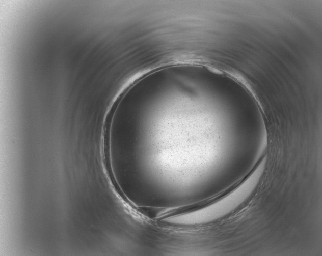 X0000058121147200510071932