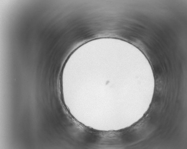 X0000058121150200510071932