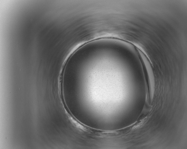 X0000058121151200510071932