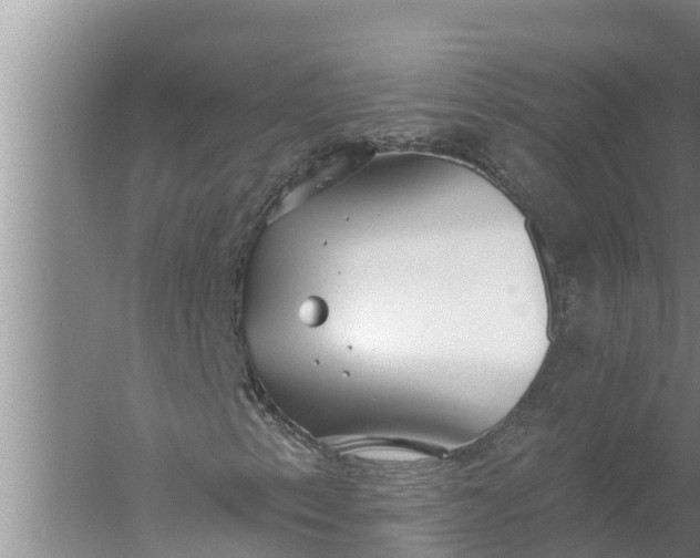 X0000058121153200510071932