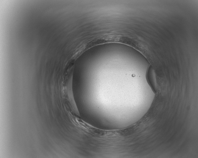 X0000058121154200510071932