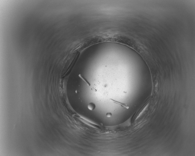 X0000058121156200510071932