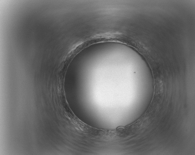 X0000058121158200510071932