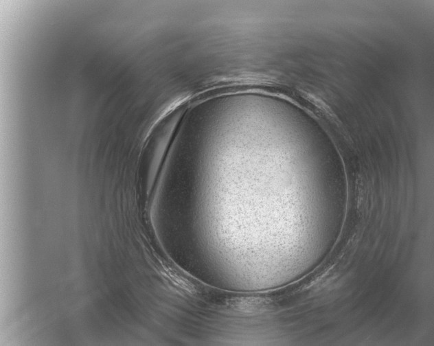 X0000058121163200510071931