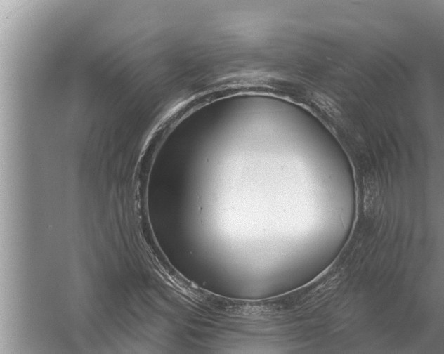 X0000058121164200510071931