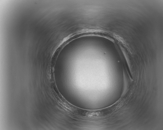 X0000058121165200510071931