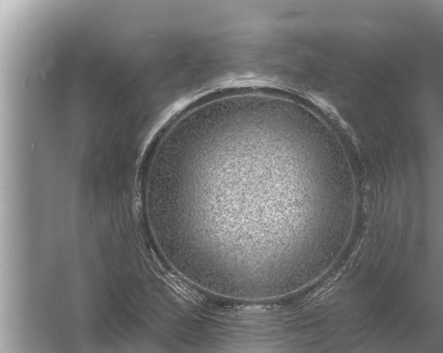 X0000058121167200510071931