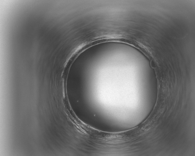 X0000058121171200510071931