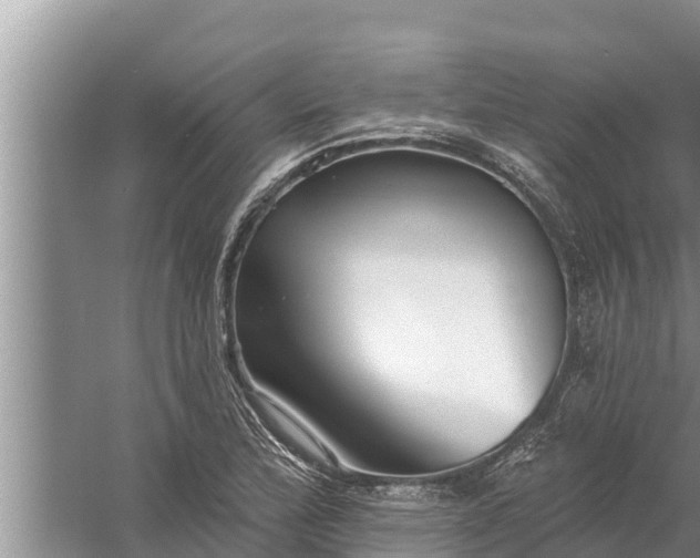 X0000058121172200510071931