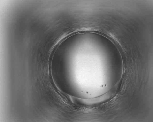 X0000058121173200510071931