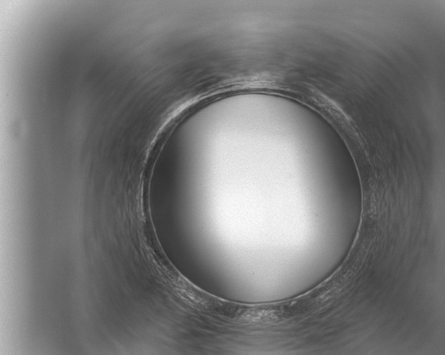 X0000058121174200510071931