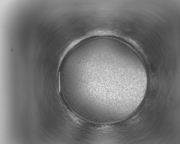 X0000058121175200510071931