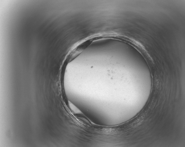 X0000058121176200510071931