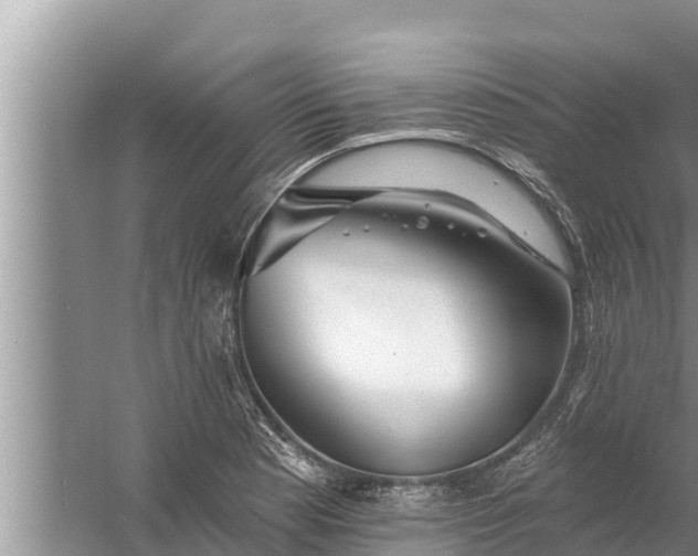 X0000058121177200510071931