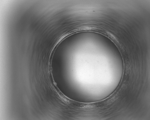 X0000058121178200510071931