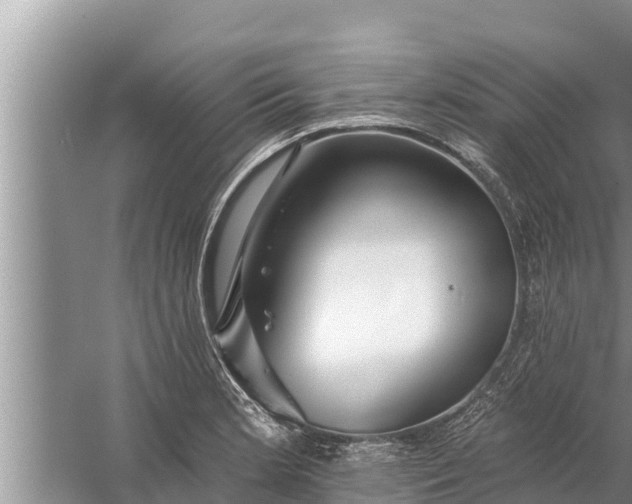 X0000058121181200510071931