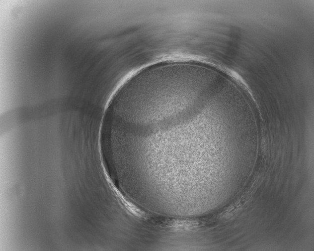 X0000058121183200510071931