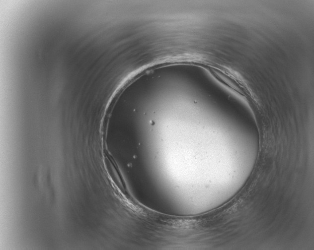 X0000058121184200510071931