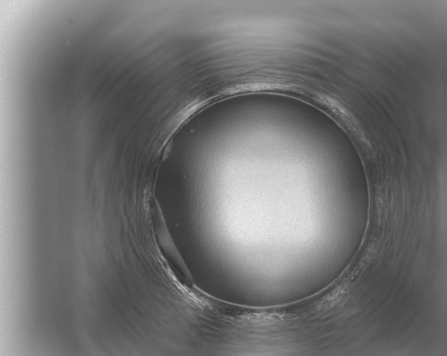 X0000058121185200510071931