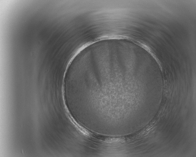 X0000058121187200510071931