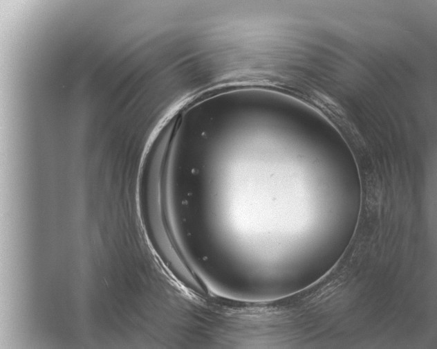 X0000058121188200510071931