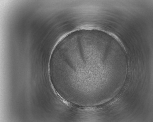 X0000058121191200510071931