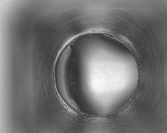 X0000058121192200510071931