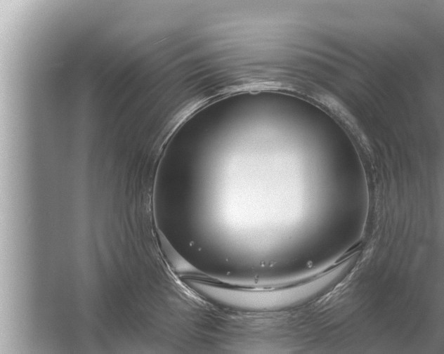 X0000058121193200510071931