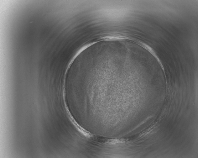 X0000058121195200510071931