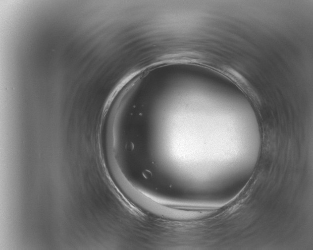 X0000058121196200510071931