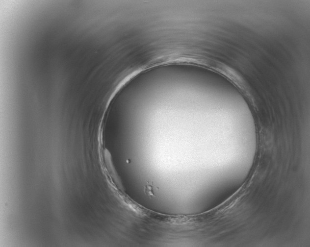 X0000058121198200510071931