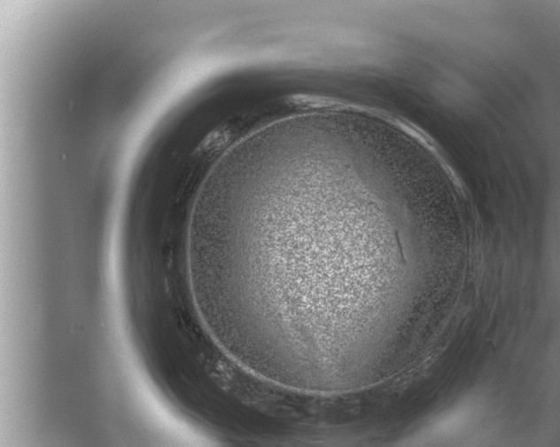 X0000058121199200510071931