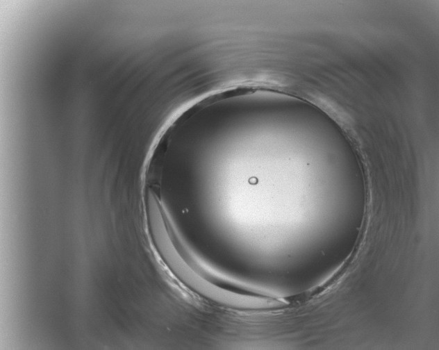 X0000058121200200510071931